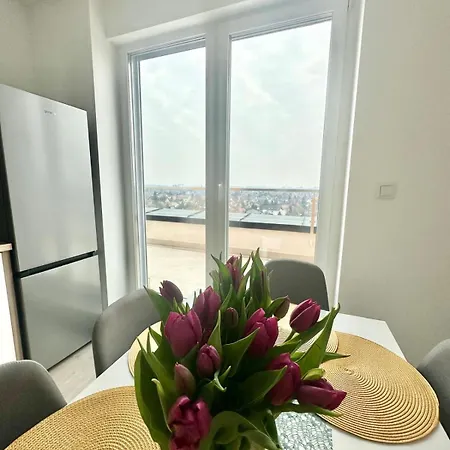 Budabright 191 I Freeparking